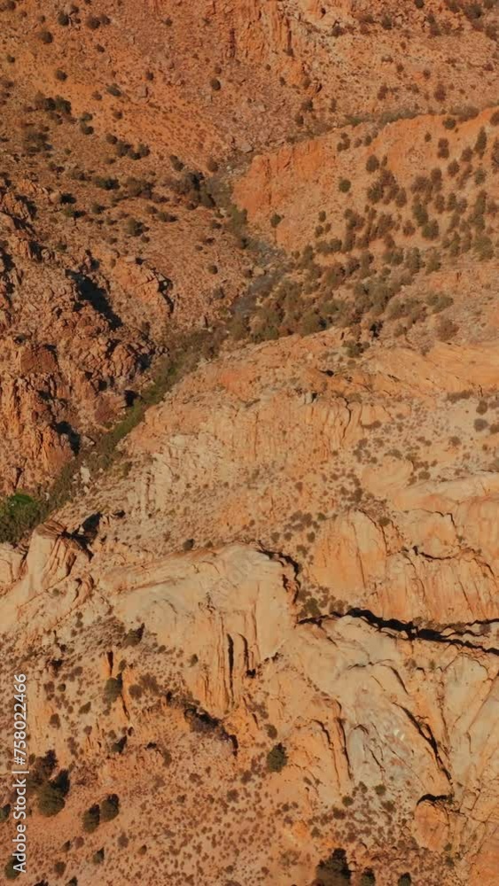Green crack between the huge mountains of Nevada. Drone footage over the bare rocks on hot sunny daytime. Vertical video. Green crack between the huge mountains of Nevada. Drone footage over the bare rocks on hot sunny daytime. Vertical video.
