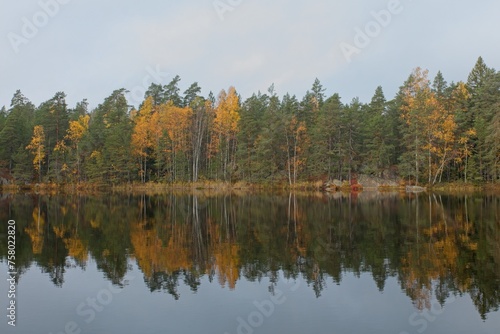 Fall lake shore with forest reflection on water surface in cloudy autumn weather, Meiko Nature Reserve, Finland.