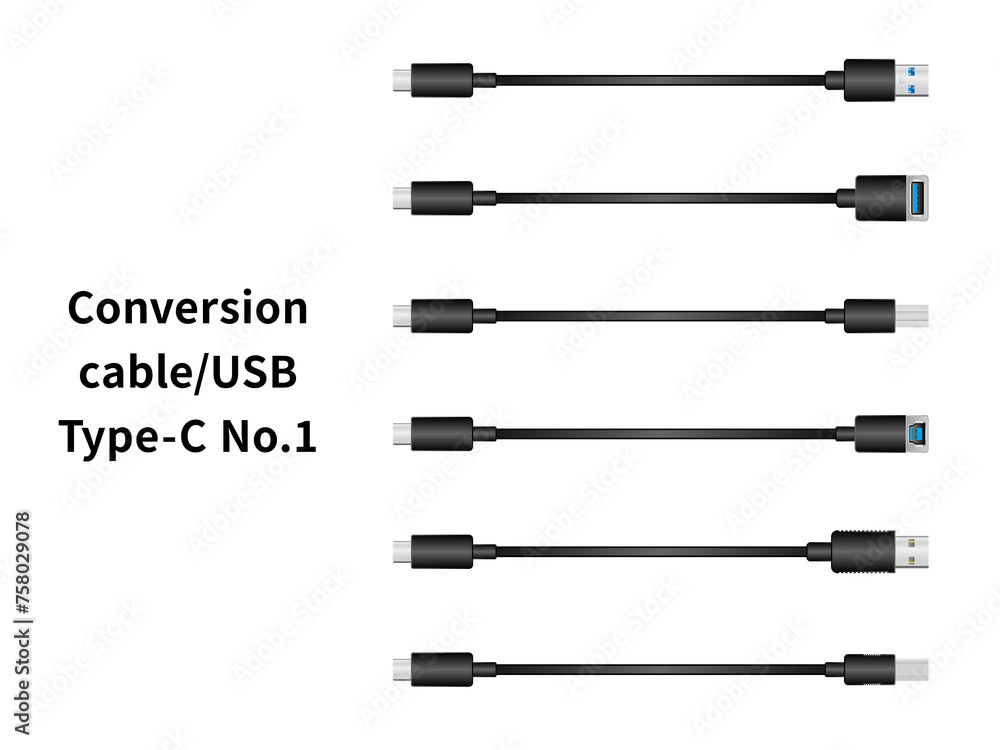 Fototapeta premium 変換ケーブル/USB Type-C No.1