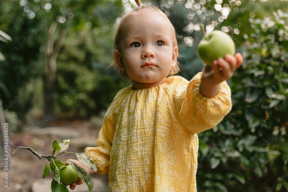 Cute child girl gives an apple. Little girl close up in garden. Cute child girl gives an apple. Little girl close up in garden.
