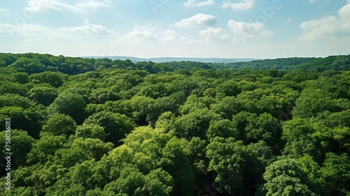 Drone capture of lush forest foliage absorbing co2 for carbon neutrality and net zero emissions