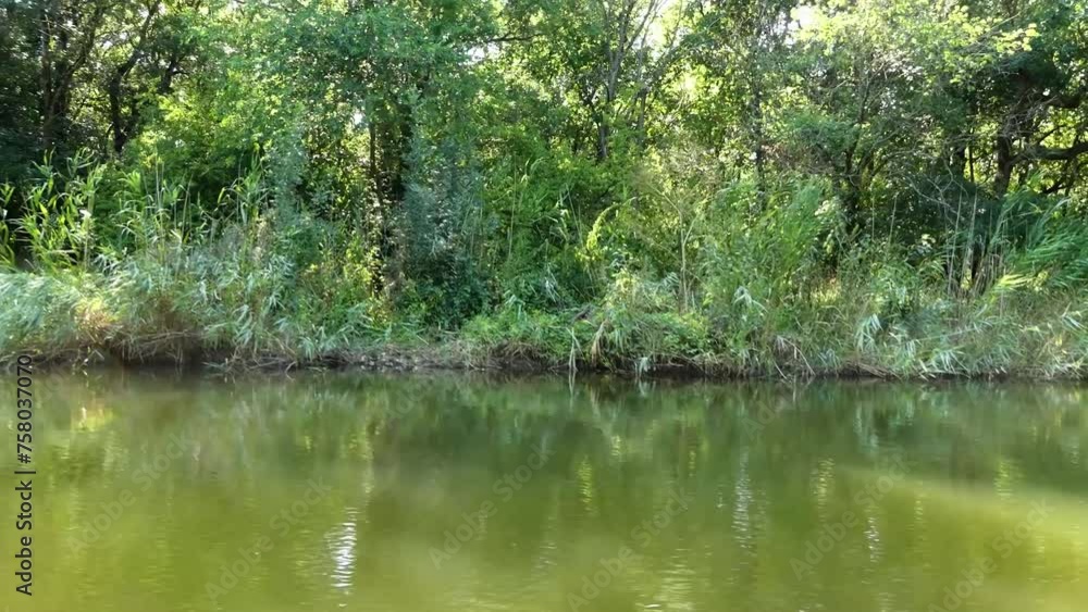 Shore of a small south river with muddy water. Forest with abundant green vegetation. Shore of a small south river with muddy water. Forest with abundant green vegetation.