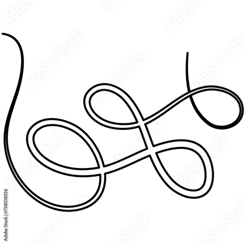 Vector Calligraphic Swirl Ornament