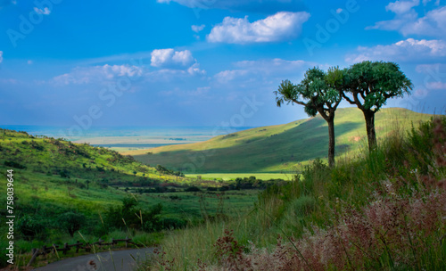 Sunlight lights up a valley, in the Suikerbosrand Nature Reserve, following a brief summer shower.