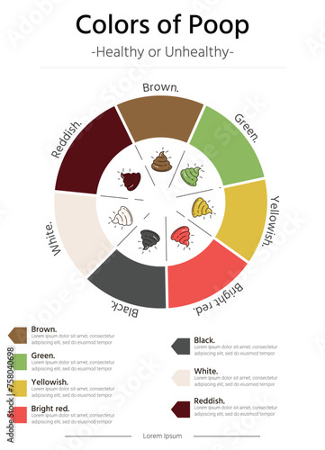 Color of poops or stools vector illustratition template cicle