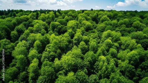 Aerial view of forest trees capturing co2 for carbon neutrality and net zero emissions