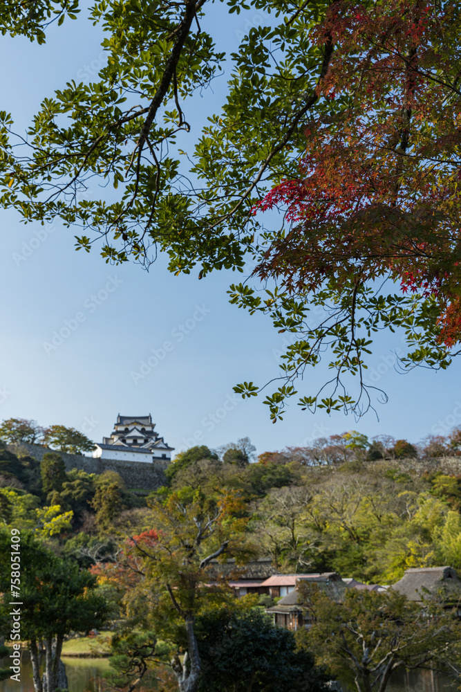 日本　滋賀県彦根市の大名庭園、玄宮園の紅葉と彦根城の天守閣