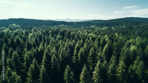 Drone view lush forest capturing co2 for carbon neutrality and net zero emissions