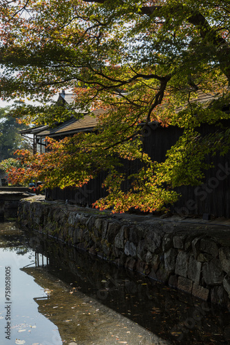 日本　滋賀県彦根市の彦根城のお堀沿いに作られた大名庭園、玄宮園の臨池閣と魚躍沼