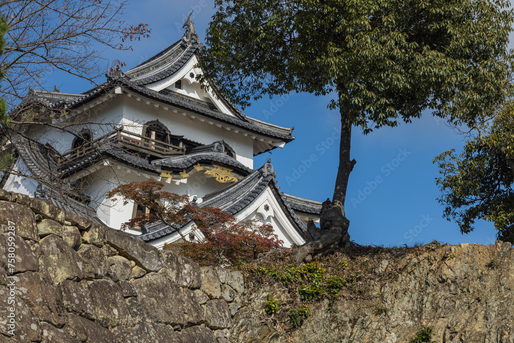 Fototapeta premium 日本 滋賀県彦根市にある彦根城の天守閣