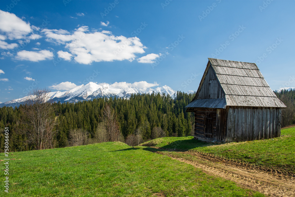 Obraz premium Spring view at The High Tatras Mountains (Vysoke Tatry, Tatry Wysokie) in spring sunny day with cloudless sky. Traditional wooden hut, meadow and the dirt road in the foreground.