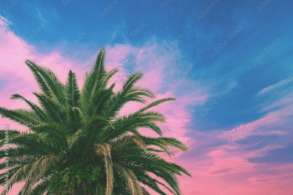 Palm trees against the colorful sunset sky. Beautiful tropical evening nature