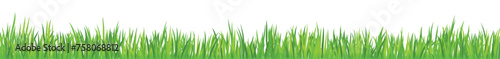 vector of grass realistic photo