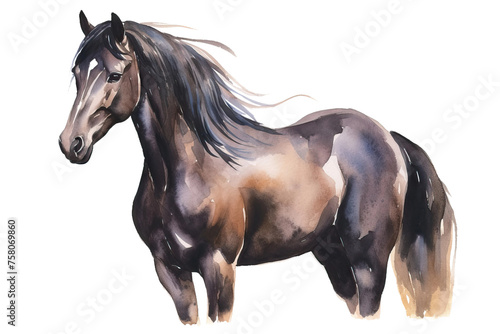 background horse transparent animal Isolated Watercolor Black profile illustration
