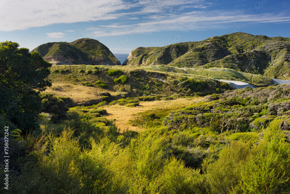 Wharariki, Tasman, Südinsel, Neuseeland