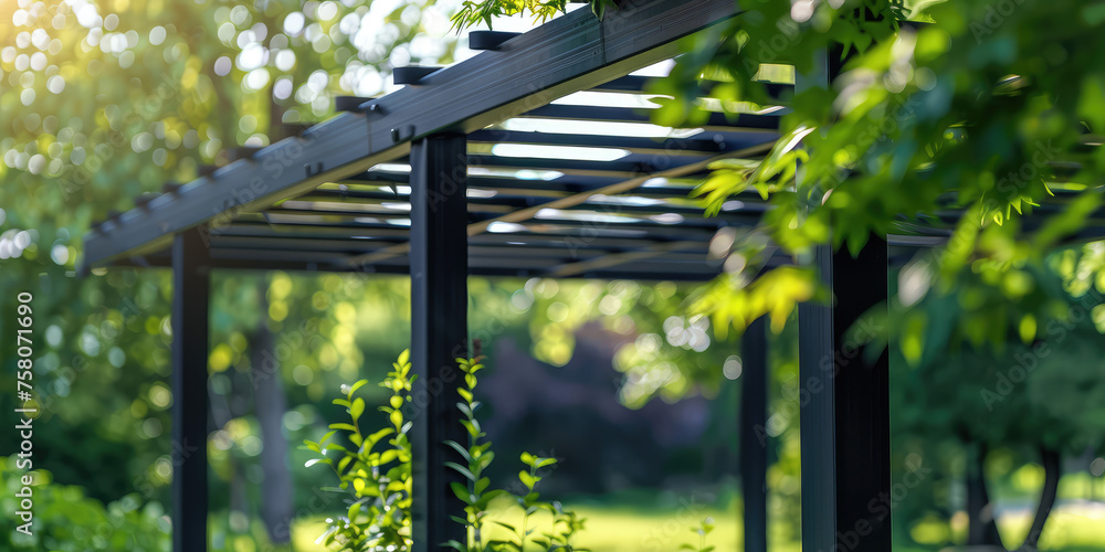 Fototapeta premium Sunlit Garden Pergola with Green Climbing Plants. Close-up of Black Wooden patio building or pergola in summer garden exterior.