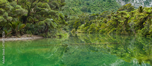 Pororari River, Paparoa Nationalpark, West Coast, Südinsel, Neuseeland
