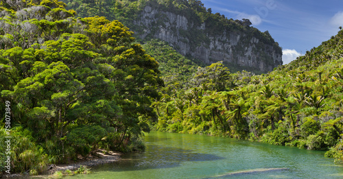Pororari River, Paparoa Nationalpark, West Coast, Südinsel, Neuseeland photo