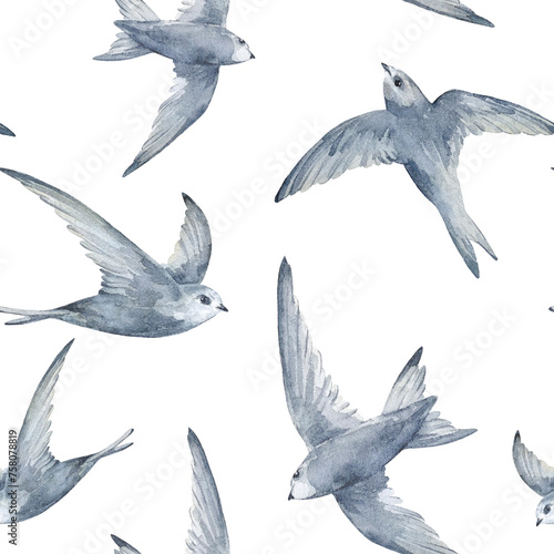 Photography Swifts birds watercolor seamless pattern