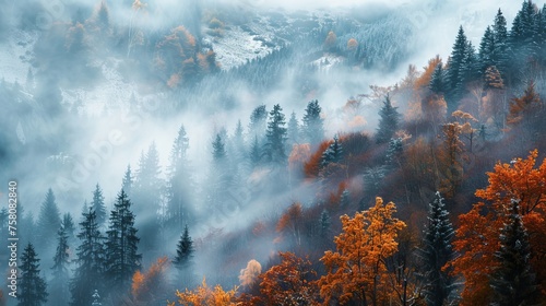 Frosty serenity: misty autumn woods blanketed in snow atop mountain peaks