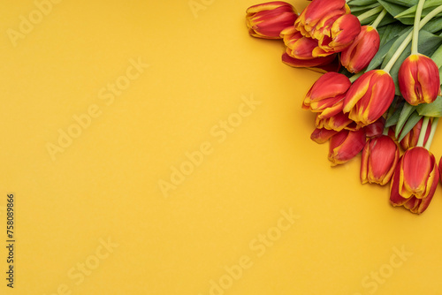 Bouquet of beautiful tulips on a yellow background.