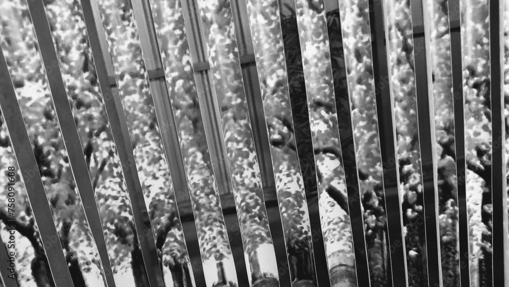 Obraz premium fence