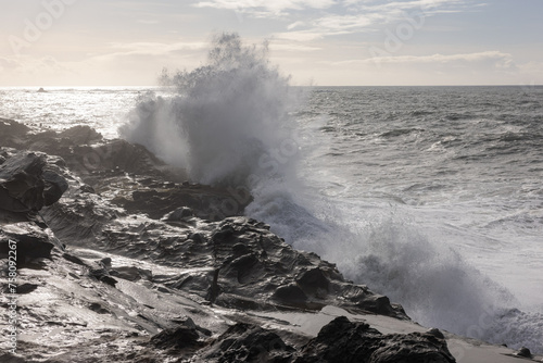 Shore Acres State Park, Oregon. photo