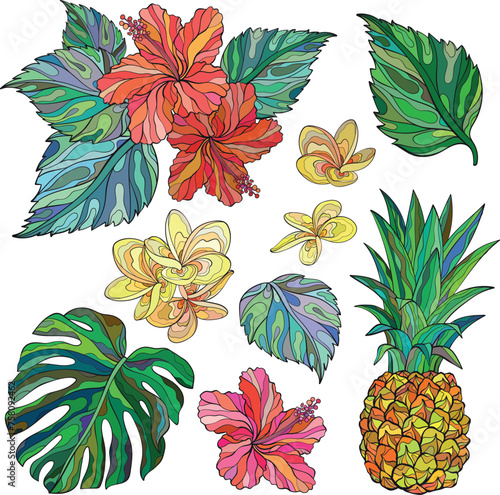 Set of Pineapple and blooming hibiscus flowers.