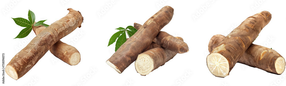 Single object of fresh cassava root isolated on white background Single object of fresh cassava root isolated on white background