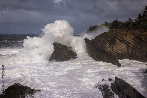 Giant waves in Shore Acres, Oregon.