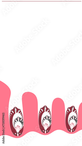 ultra-tall template copy-space white colour with pink thumb shaped motifs