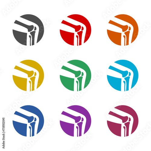Knee joint icon isolated on white background. Set icons colorful