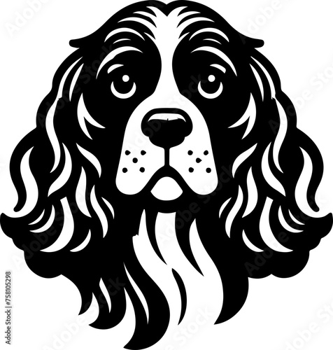 American Cocker Spaniel