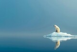 Lone polar bear on a shrinking ice floe in the vast blue ocean, gazing into the distance - Concept of wildlife vulnerability and climate change