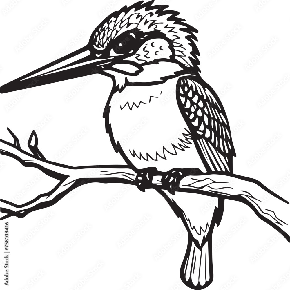 Fototapeta premium Bird coloring pages. Bird outline vector for coloring book