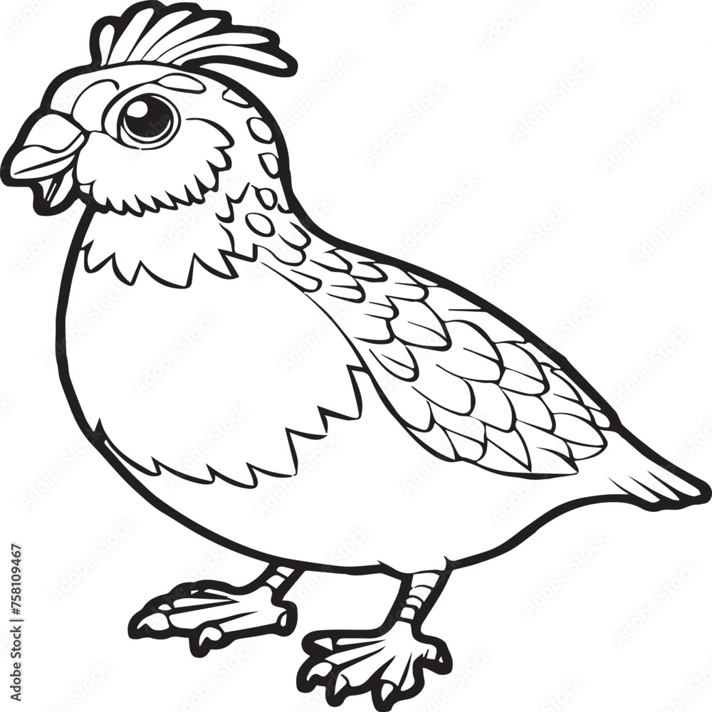 Fototapeta premium Bird coloring pages. Bird outline vector for coloring book