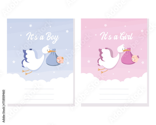 Vector illustration of baby shower invitation with stork. Set, pattern for a gender party for a girl or boy