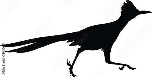 Cleanly drawn road runner silhouette. photo