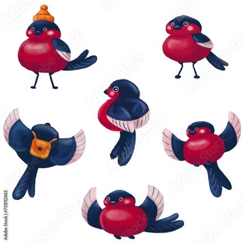 A collection of funny painted bullfinches, small bright birds for decoration