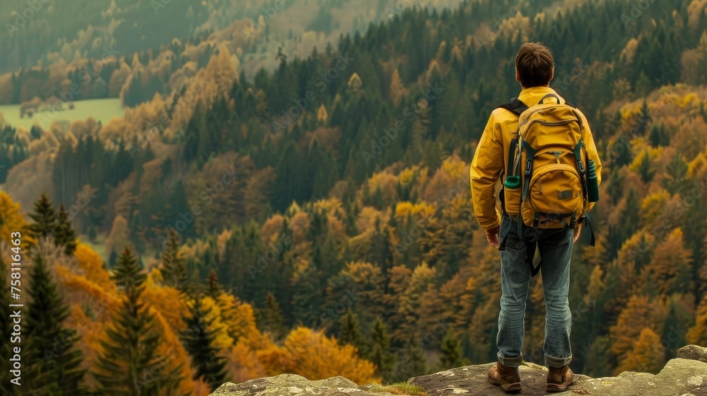 Single Hiker Standing at the Brink of Expansive Woodland, Expressing Apprehension and Fear of Getting Lost, Illustrating the Concept of Xylophobia Single Hiker Standing at the Brink of Expansive Woodland, Expressing Apprehension and Fear of Getting Lost, Illustrating the Concept of Xylophobia