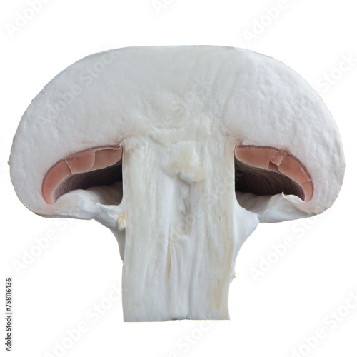 Slice of White Button Mushroom Isolated on White Background