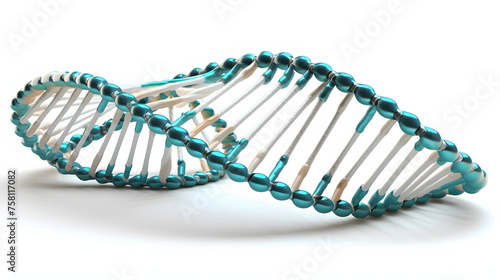 dna strand on white background