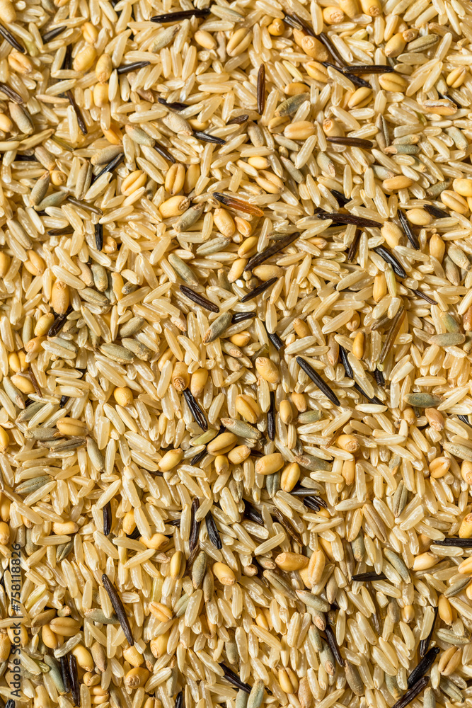 Dry Raw Organic Wild Rice