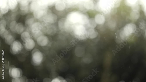 composizione macro che mostra gocce di pioggia che cadono lentamente dal cielo, con uno sfondo completamente sfuocato e ben illuminato, con sfumature di verde e bianco e l'effetto bokeh photo