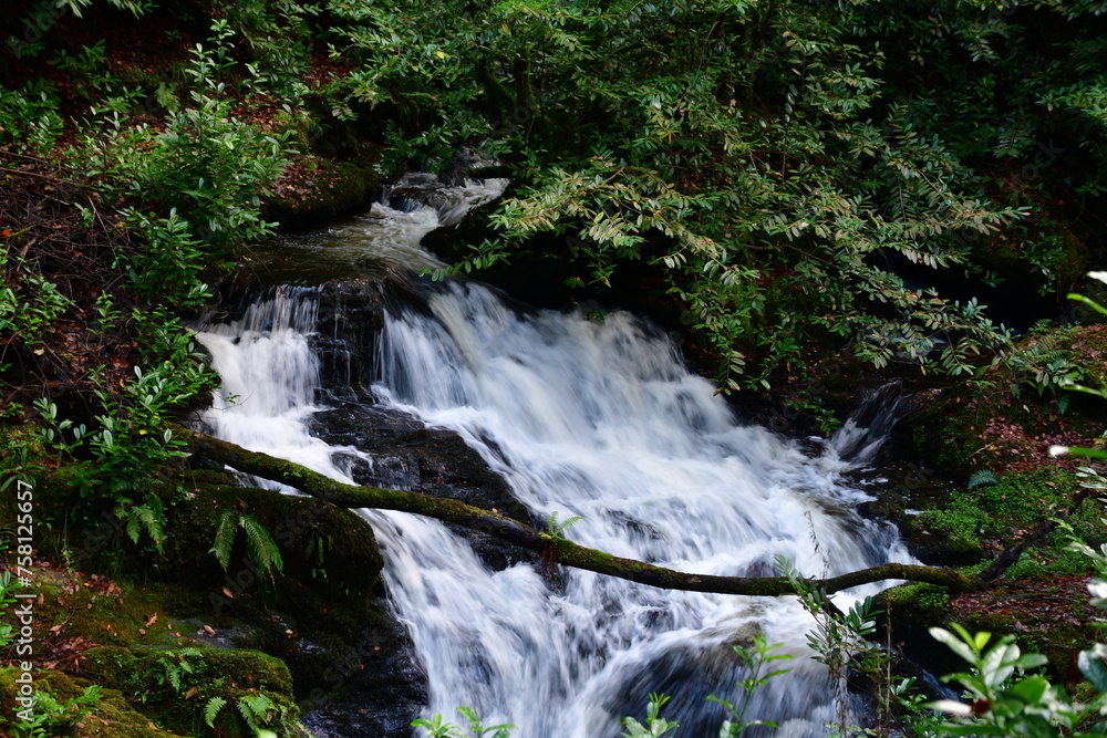 Waterfall in the forest. Woodstock waterfall, Woodstock Arboretum and Gardens, Inistioge, County Kilkenny, Ireland Waterfall in the forest. Woodstock waterfall, Woodstock Arboretum and Gardens, Inistioge, County Kilkenny, Ireland