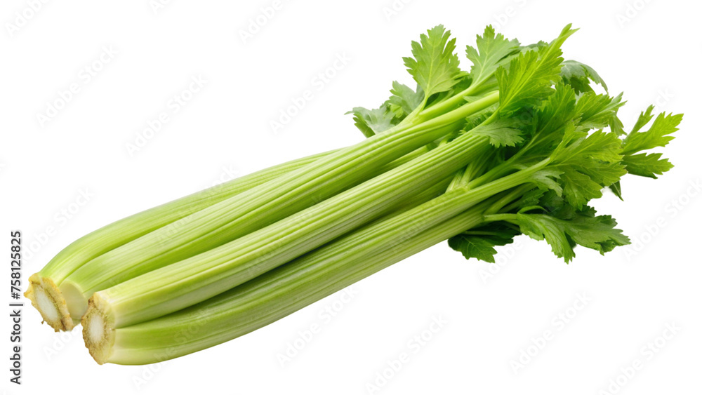 Fresh green celery isolated on Transparent background.