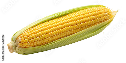 A yellow corn isolated on Transparent background.