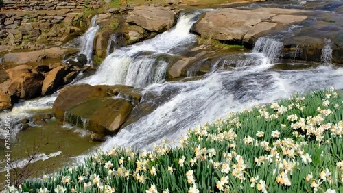 Reedy river waterfall at Falls Park in Greenville, South Carolina with spring flowers