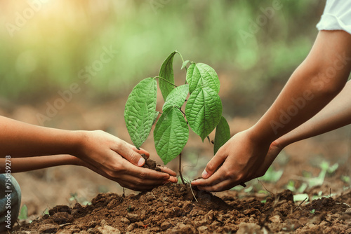 Two people are planting a tree together