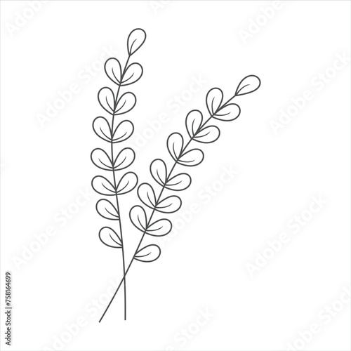 Fototapeta Naklejka Na Ścianę i Meble -  Botanical leaf doodle wildflower line art